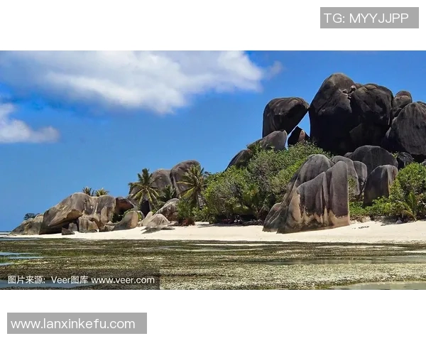 塞舌尔足球明星全景介绍及其在国际赛场上的辉煌成就